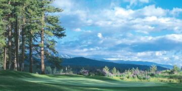 Plumas area golf